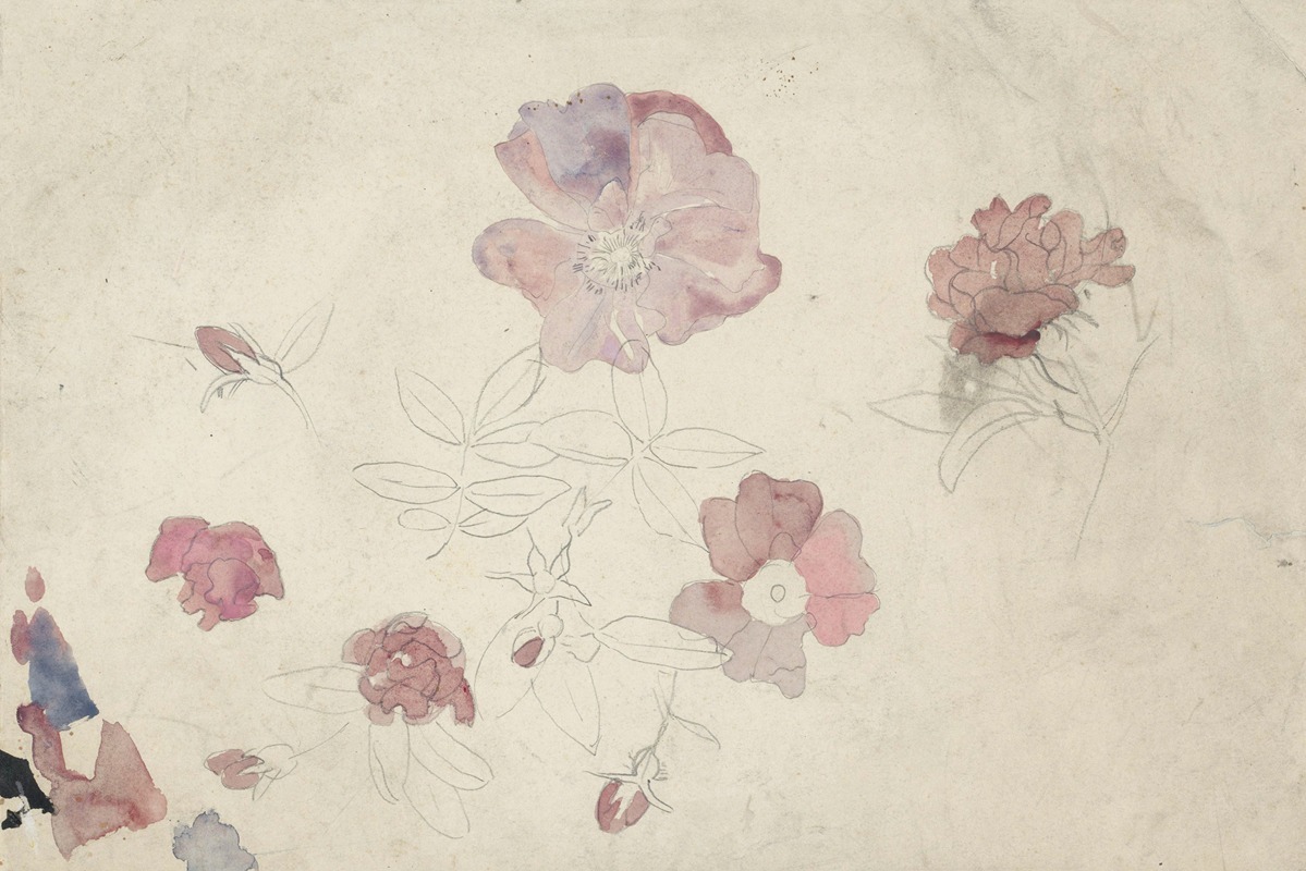 Carel Adolph Lion Cachet - Bloemenstudies in paars en roze