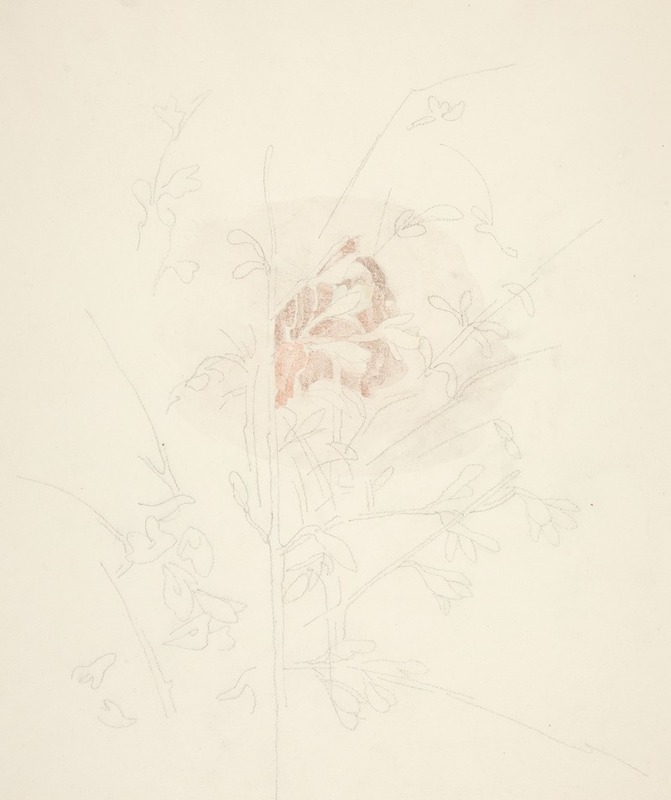Charles Demuth - Flower