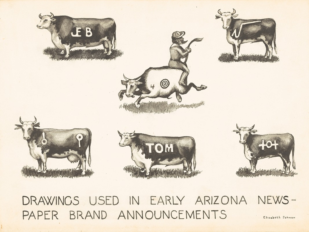 Elizabeth Johnson - Newspaper Brand Announcements