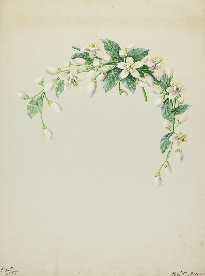 Ruth M. Barnes - Costume Accessory (Orange Blossoms)