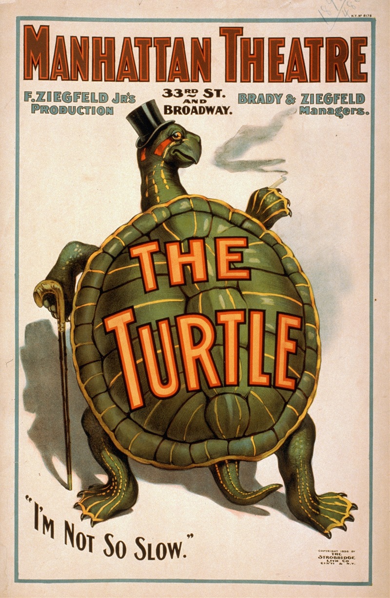 Strobridge and Co - The turtle