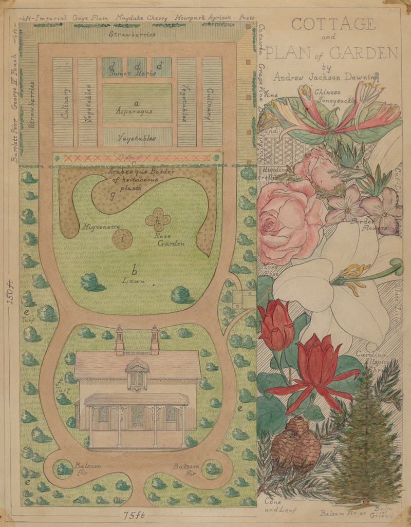 Virginia Richards - Ground Plan for Cottage