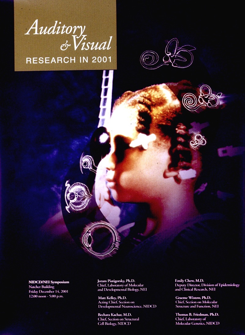 National Institutes of Health - Auditory and visual research in 2001