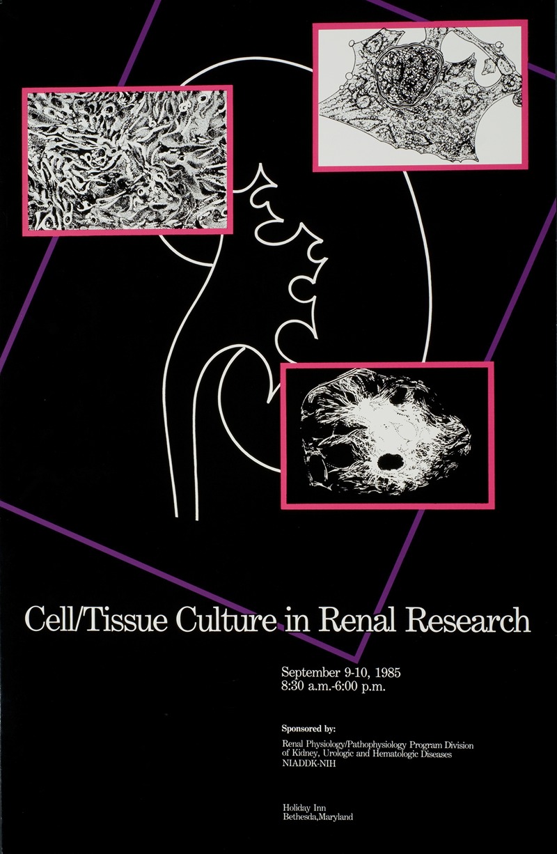 National Institutes of Health - Cell, tissue culture in renal research