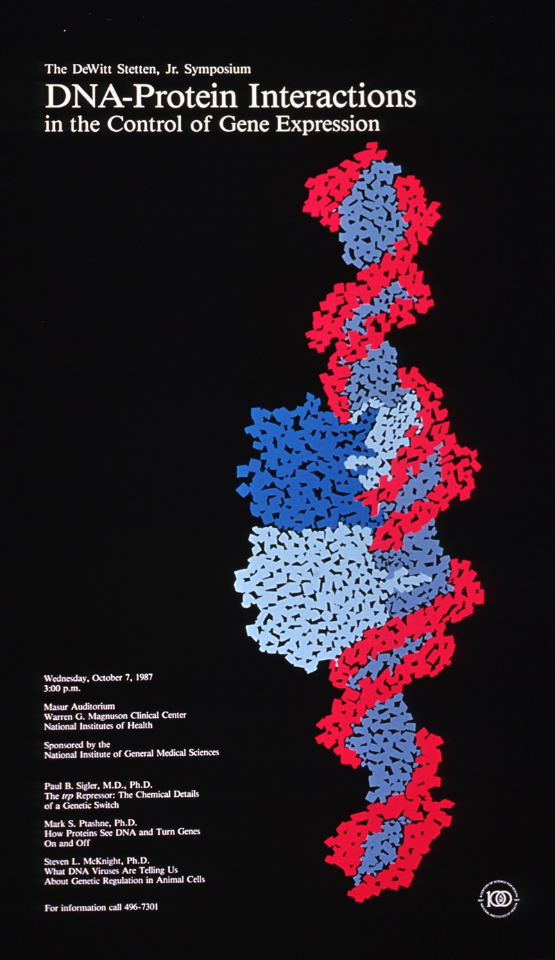 National Institutes of Health - DNA-protein interactions in the control of gene expression