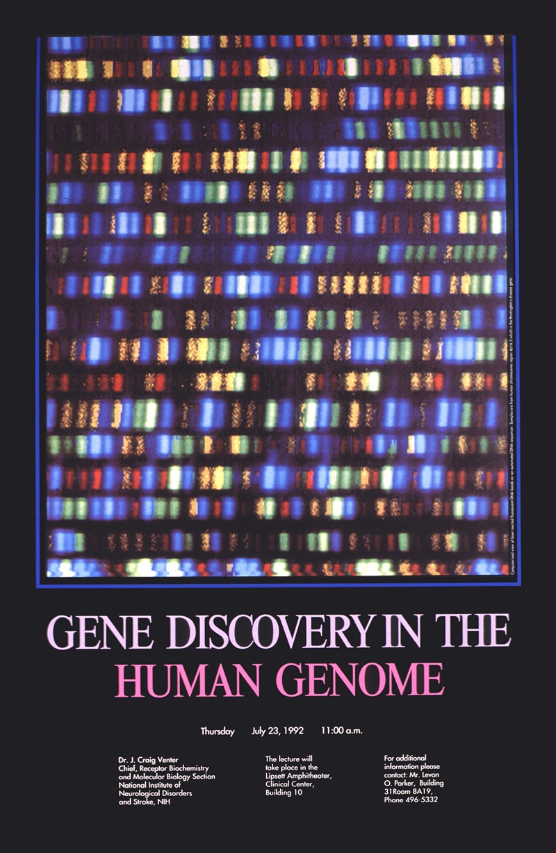 National Institutes of Health - Gene discovery in the human genome