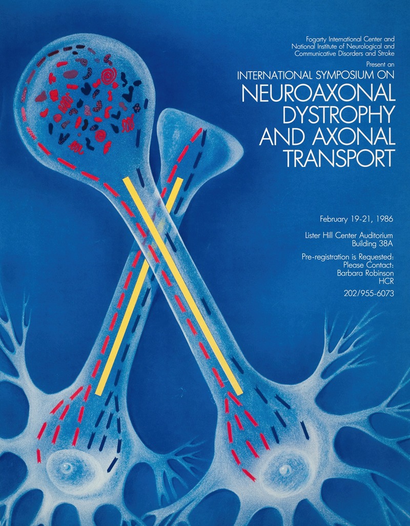 National Institutes of Health - International symposium on neuroaxonal dystrophy and axonal transport