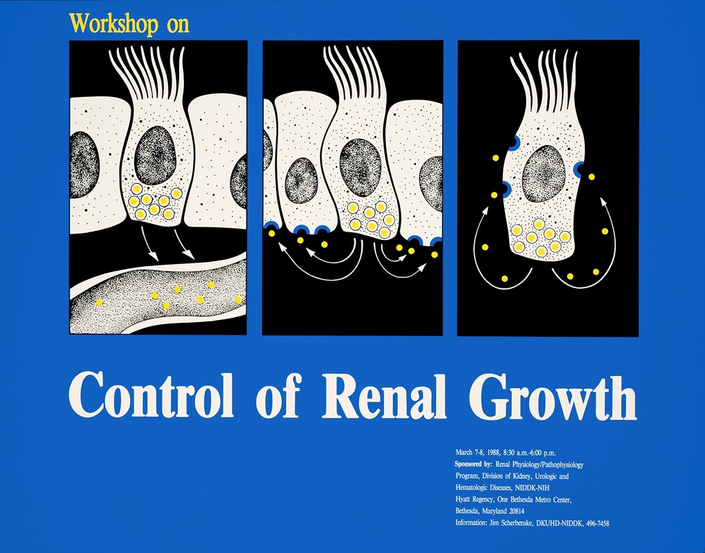 National Institutes of Health - Workshop on control of renal growth