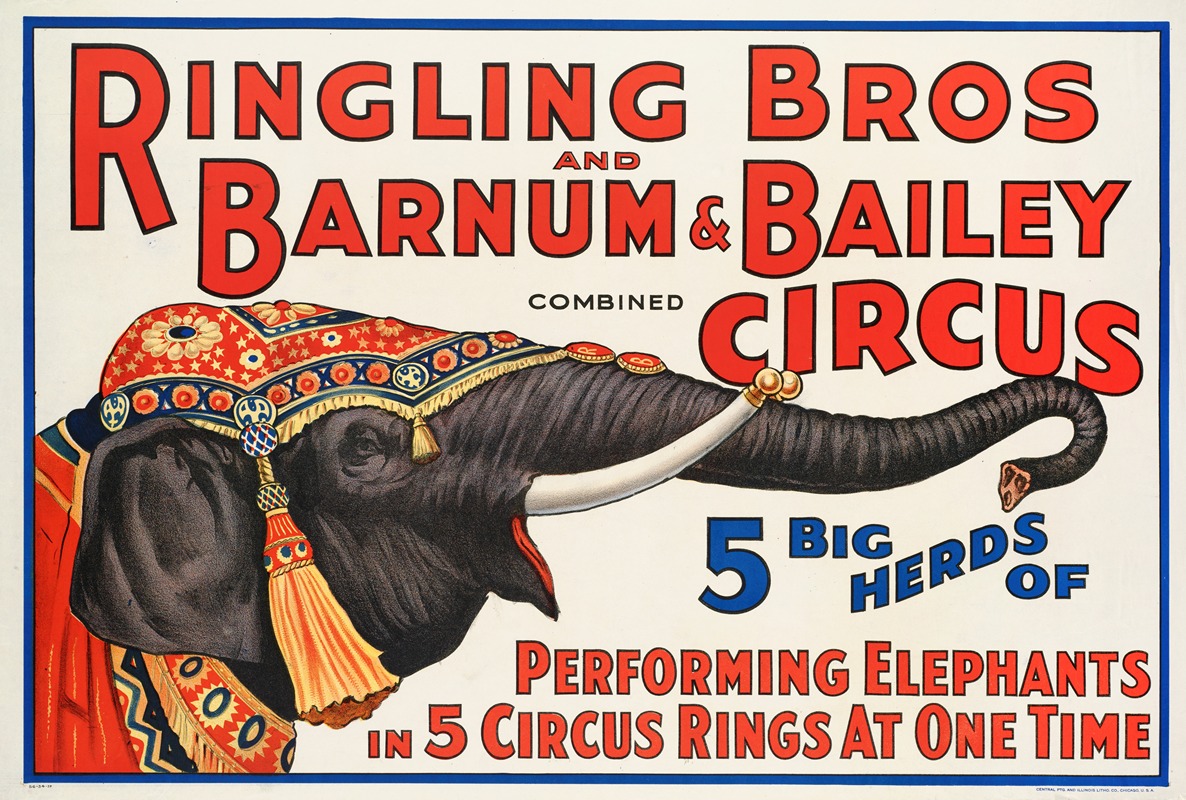 Anonymous - 5 big herds of performing elephants in 5 circus rings at one time