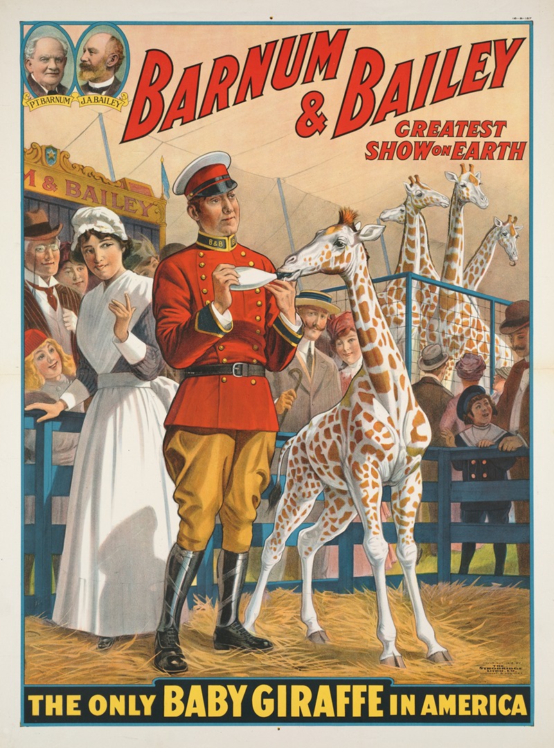 Anonymous - Barnum & Bailey greatest show on earth : The only baby giraffe in America