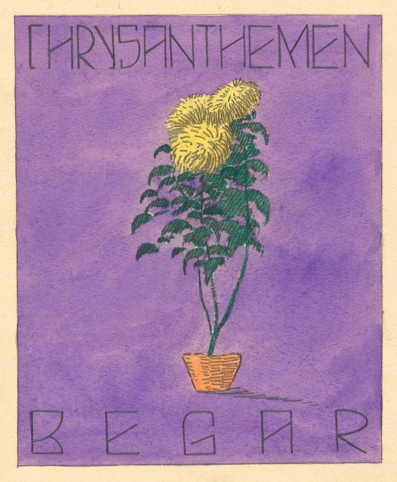 Karl Wiener - Chrysanthemen Begar