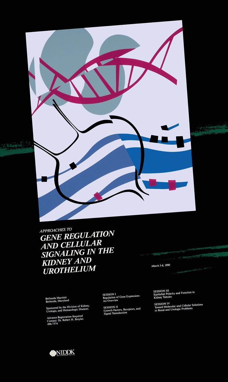 National Institutes of Health - Approaches to gene regulation & cellular signaling in the kidney & urothelium