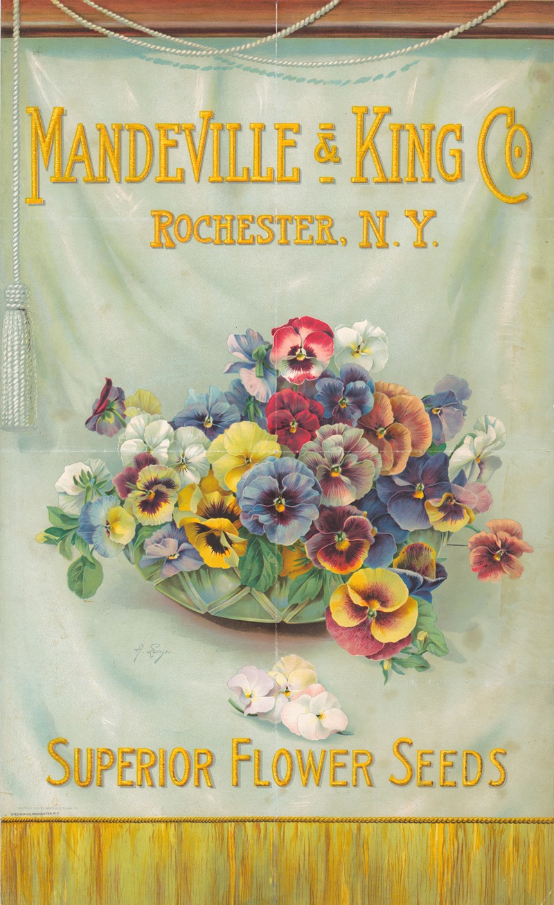Alois Lunzer - Mandeville & King Co., superior flower seeds [bowl of pansies]