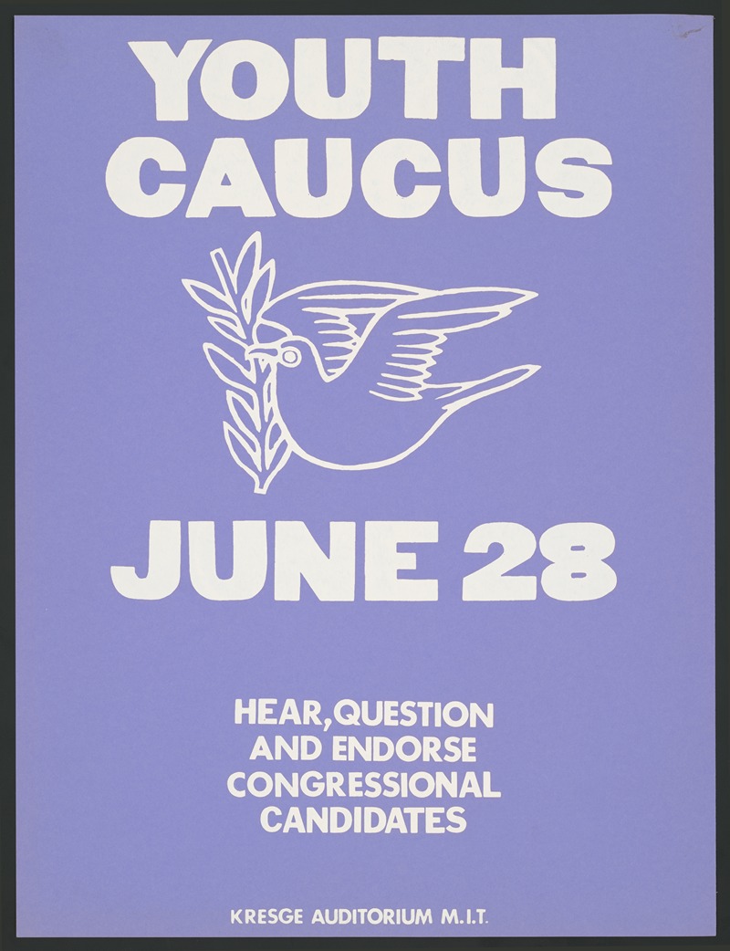 Anonymous - Youth caucus – June 28