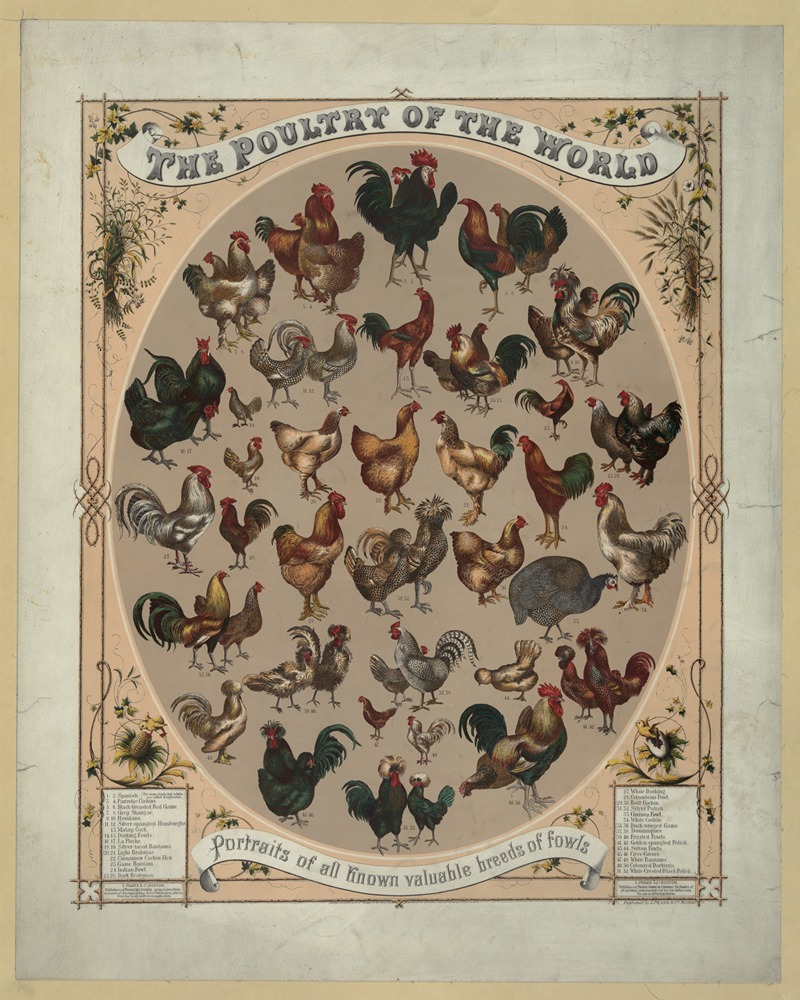 Louis Prang - The poultry of the world–Portraits of all known valuable breeds of fowls