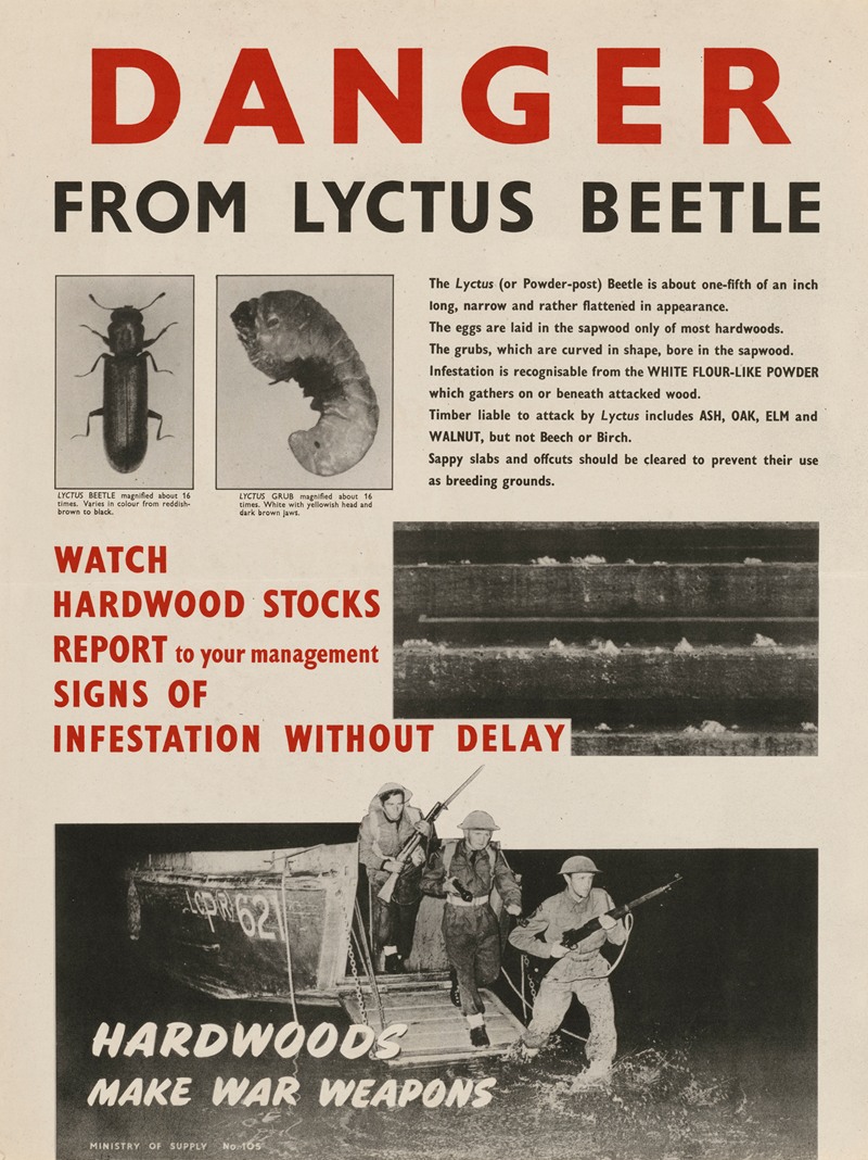 Anonymous - Danger From Lyctus Beetle