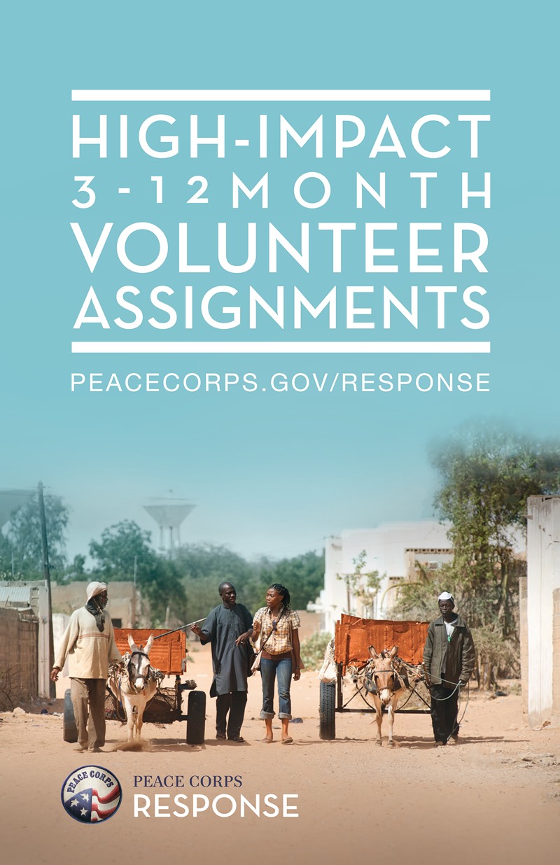 peace corps short term assignments