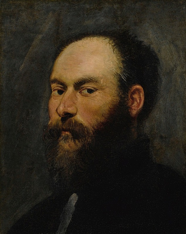 Jacopo Tintoretto - Portrait Of A Man