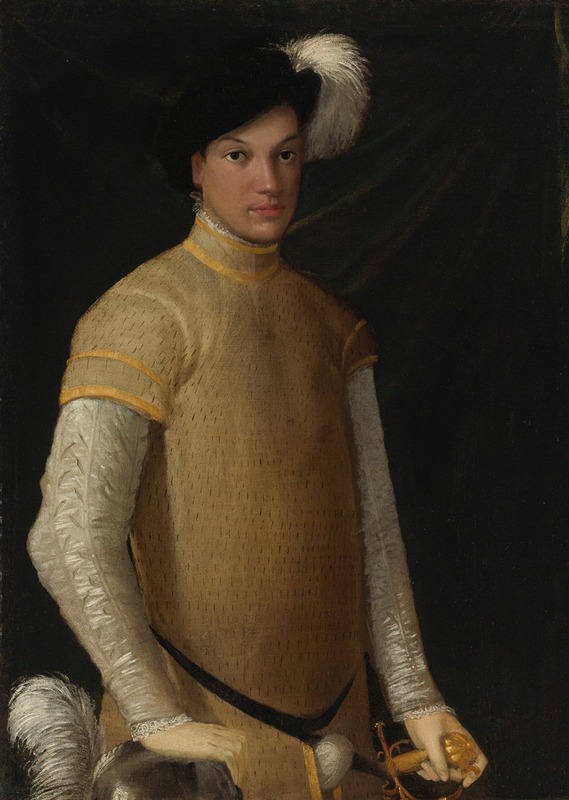 Nicolò dell'Abate - Portrait Of A Young Man