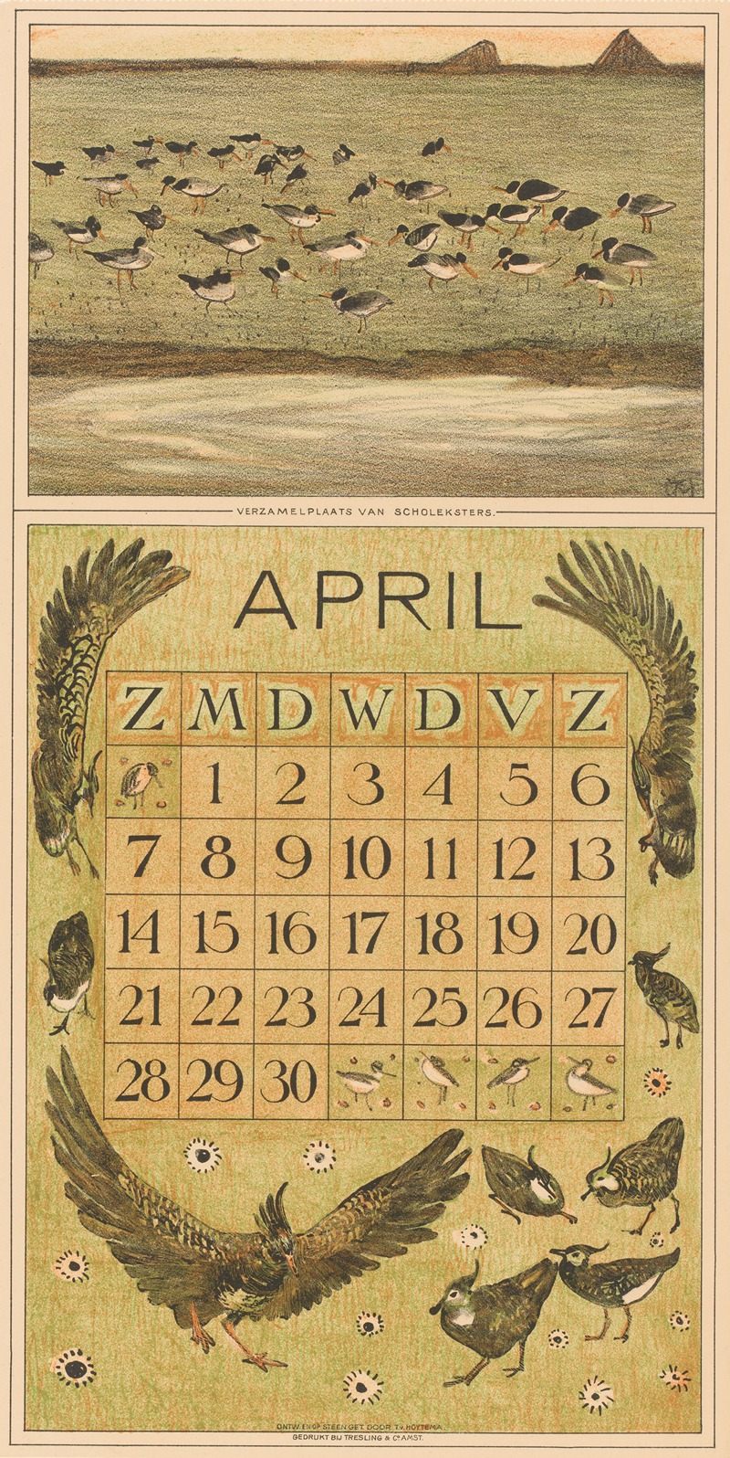 Theo van Hoytema - Kalenderblad april met scholeksters en kieviten