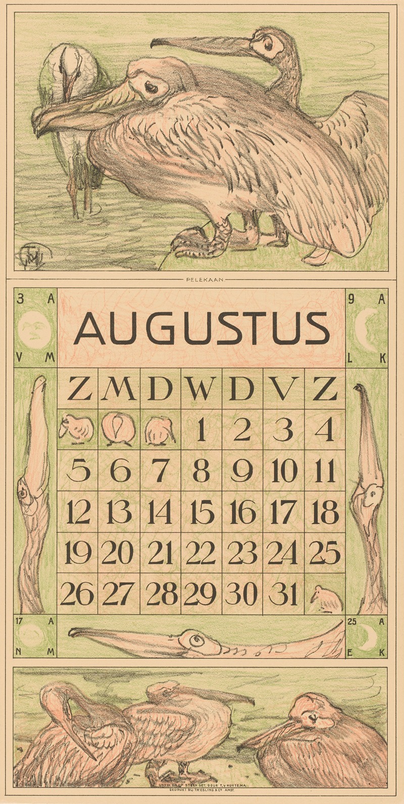 Theo van Hoytema - Kalenderblad augustus met pelikanen