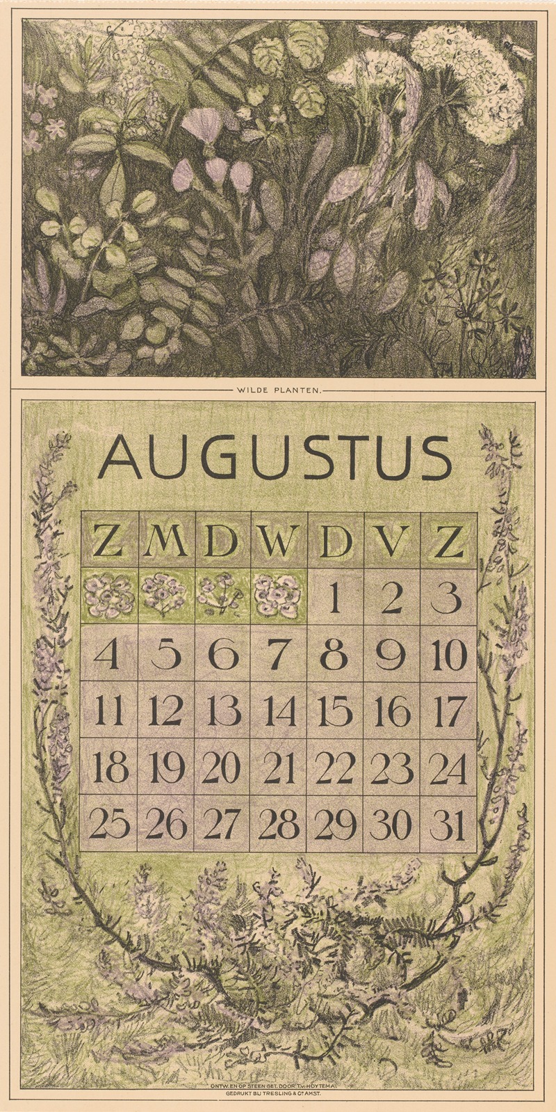 Theo van Hoytema - Kalenderblad augustus met planten