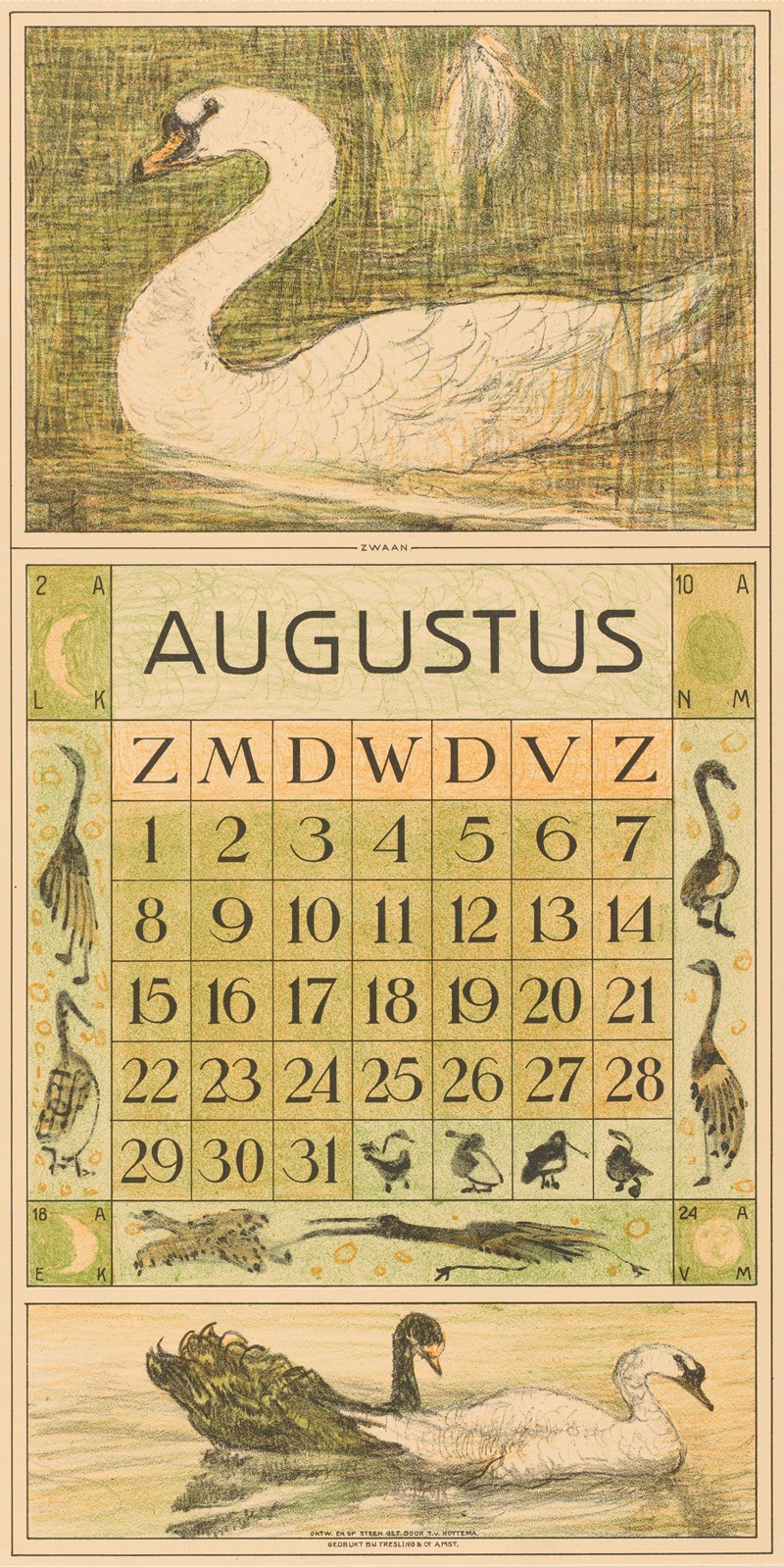 Theo van Hoytema - Kalenderblad augustus met zwaan