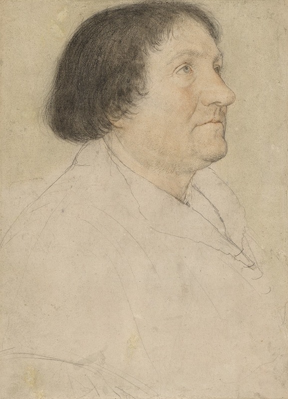 Hans Holbein The Younger - Bildnis des Jacob Meyer zum Hasen