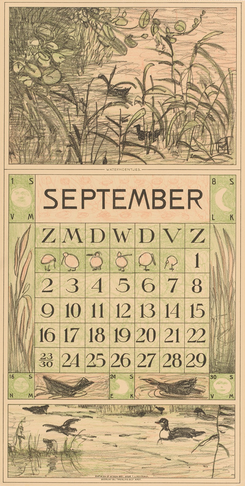Theo van Hoytema - Kalenderblad september met watervogels tussen het riet