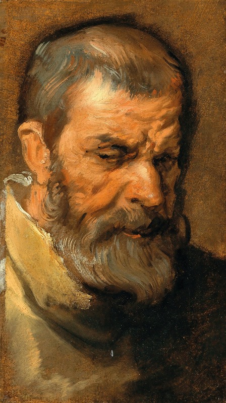 Anthony van Dyck - Head Of A Bearded Man