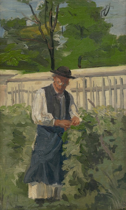 Jozef Hanula - By the Grapevines