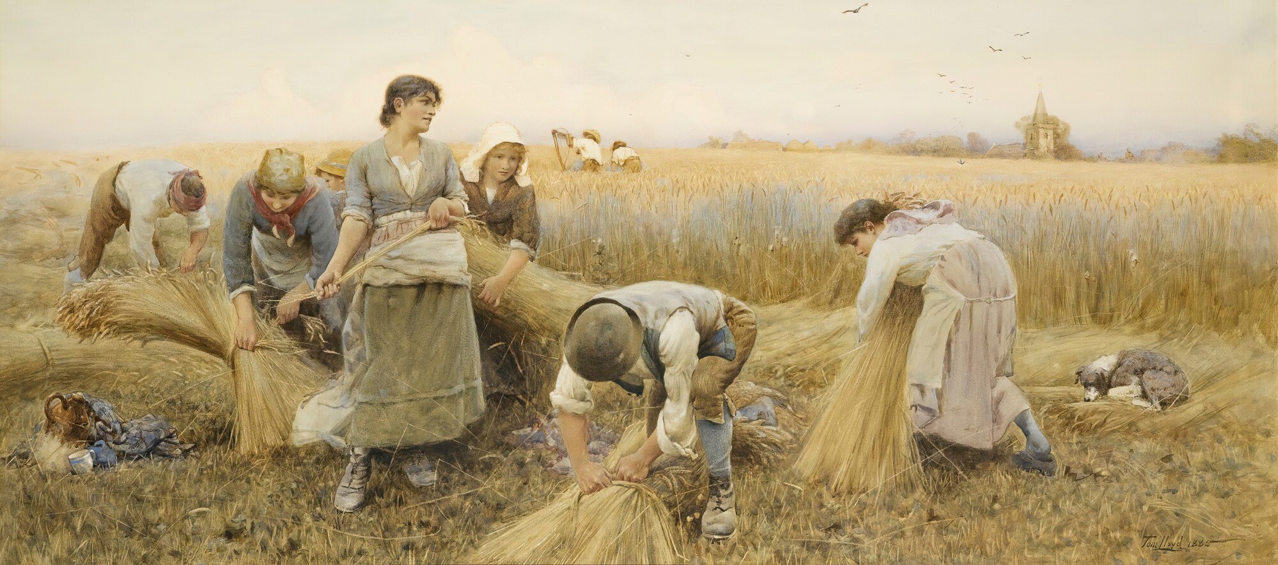 Thomas James Lloyd - The Golden Grain