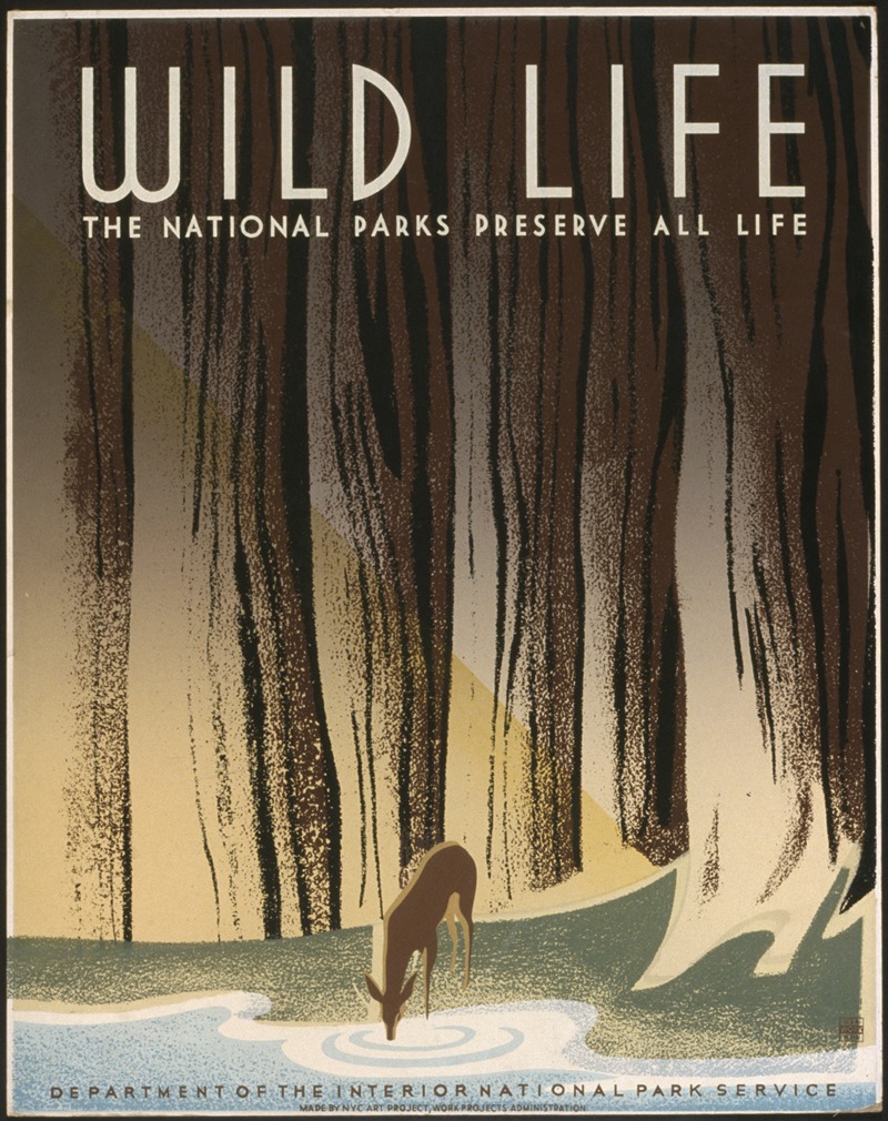 Frank S. Nicholson - Wild life The national parks preserve all life.