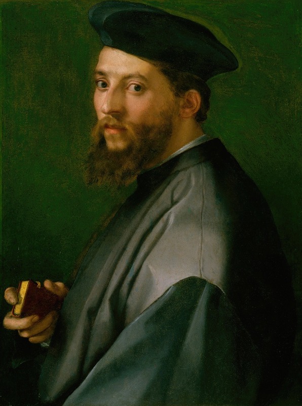 Andrea del Sarto - Portrait of a Man