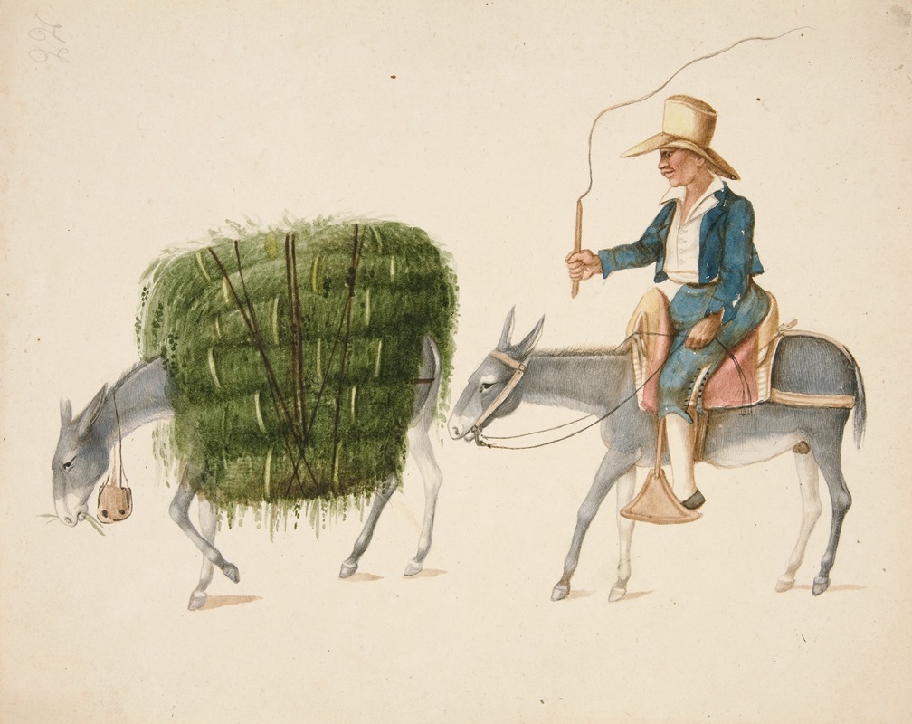 Francisco Fierro - Boy on Mule driving another Mule loaded with Hay