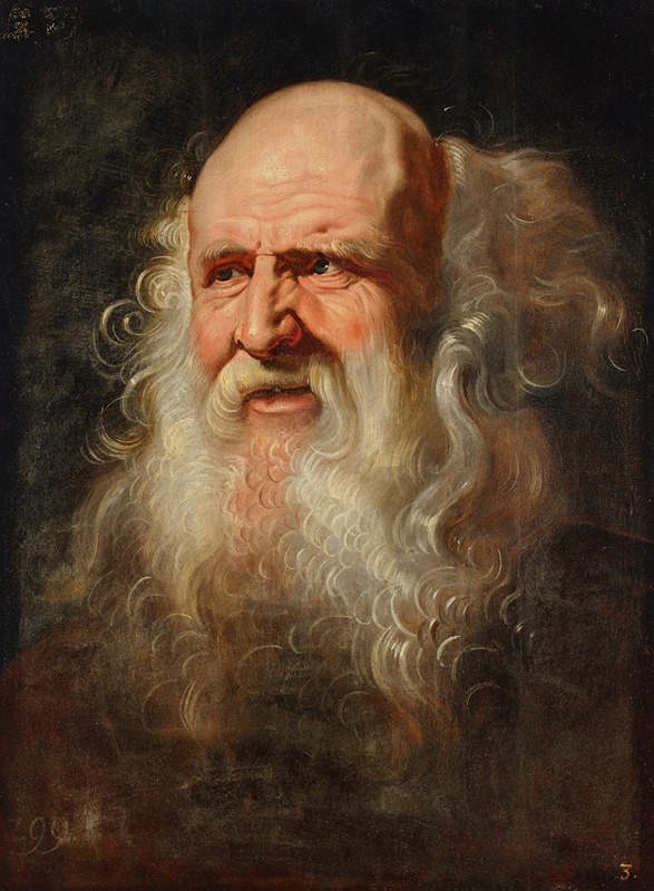 Follower of Peter Paul Rubens - Head study of a man