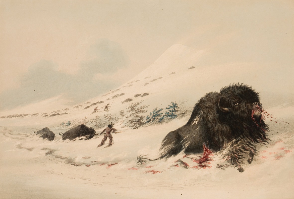 George Catlin - Buffalo Bull, in Snow Drift