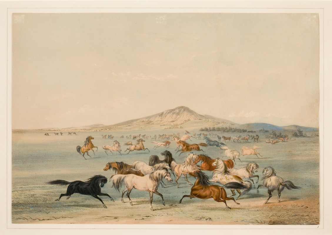 George Catlin - Wild Horses at Play