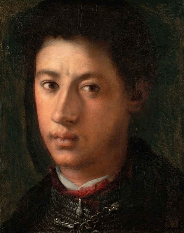 Pontormo (Jacopo Carucci) - Alessandro de’ Medici