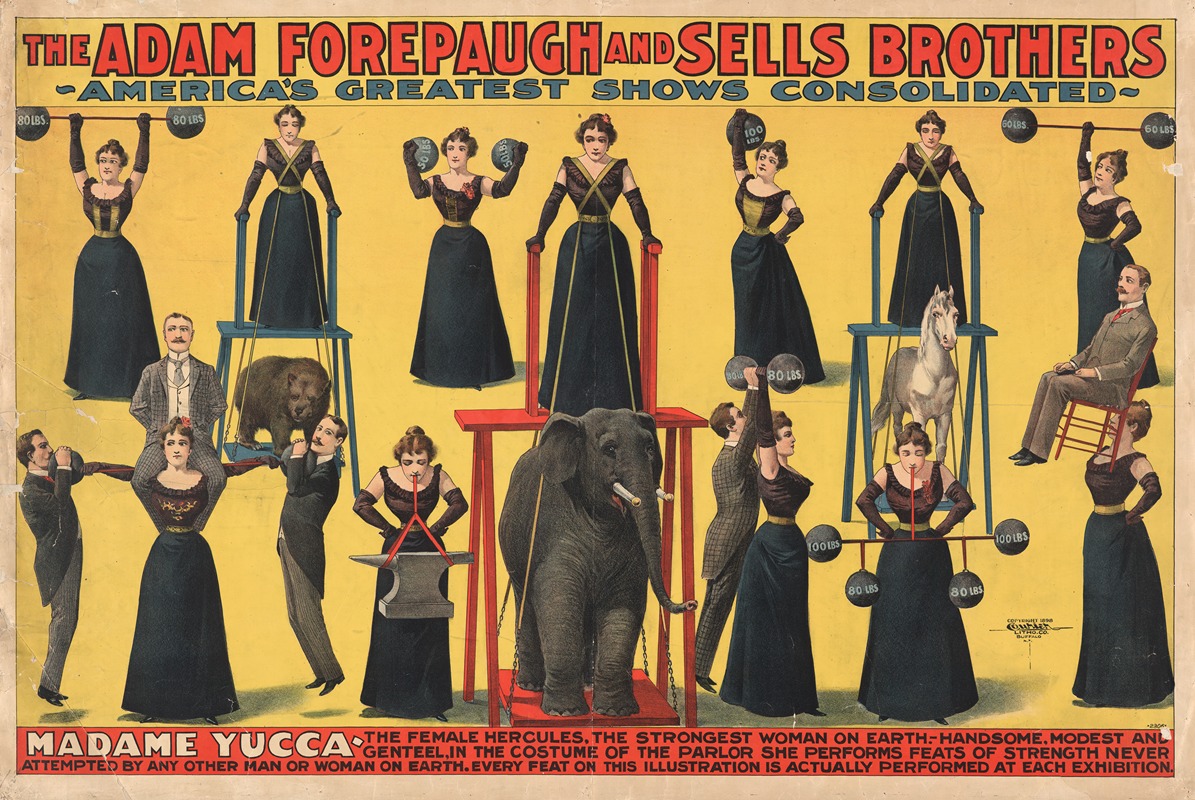 Anonymous - The Adam Forepaugh and Sells Brothers–America’s greatest shows consolidated–Madame Yucca, the female Hercules