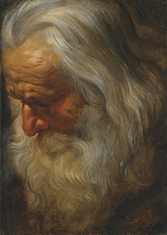 Peter Paul Rubens - Head study of a bearded old man