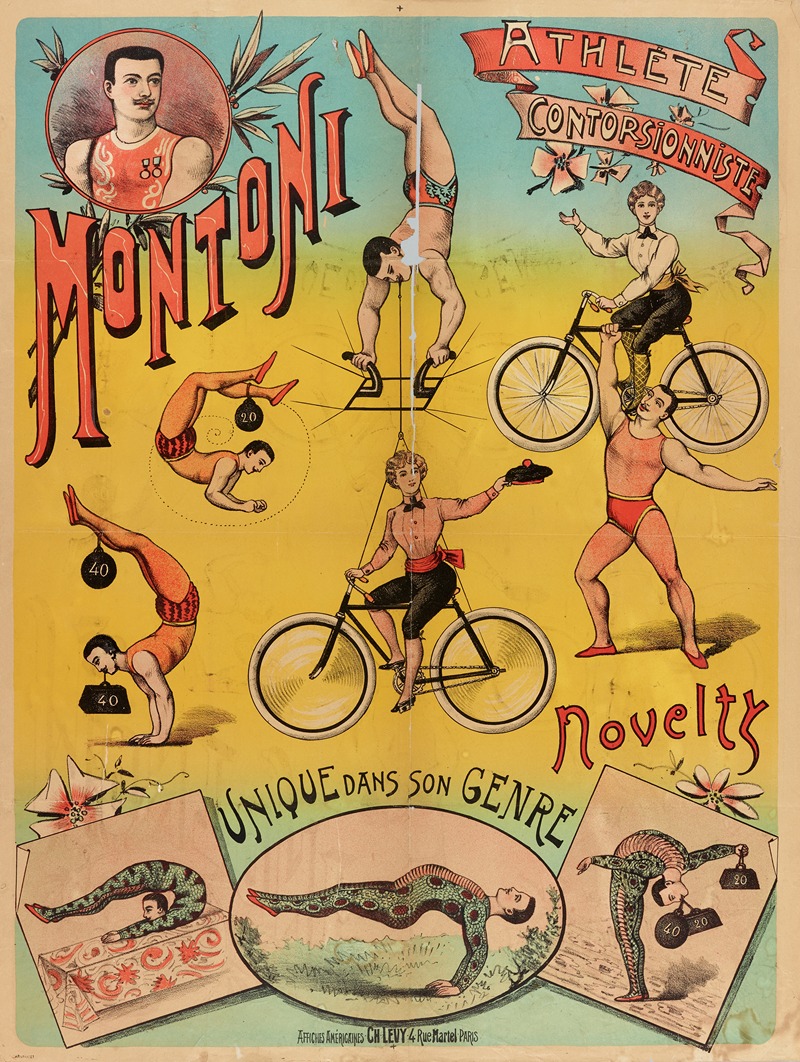 Anonymous - Athlete Contorsionniste Montoni Novelty Unique Dans Son Genre