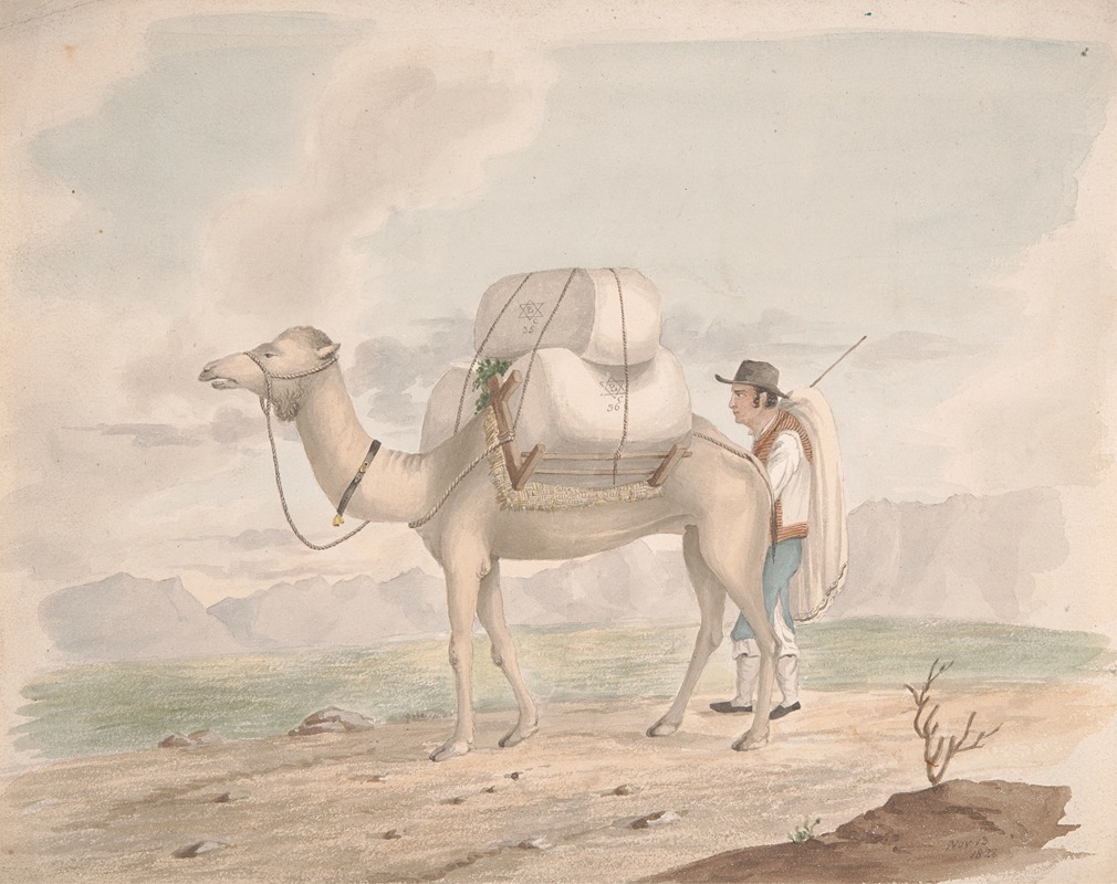 Alfred Diston - Loaded Camel