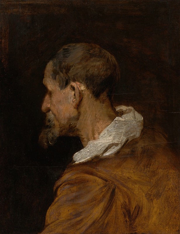 Anthony van Dyck - Study Head