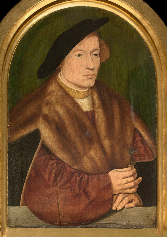 Barthel Bruyn the Elder - Portrait of a Young Man