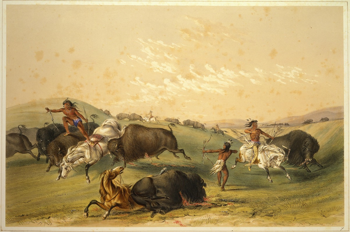 George Catlin - Buffalo Hunt; A Numerous Group