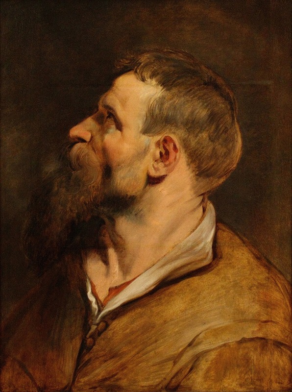 Peter Paul Rubens - Head of a bearded man