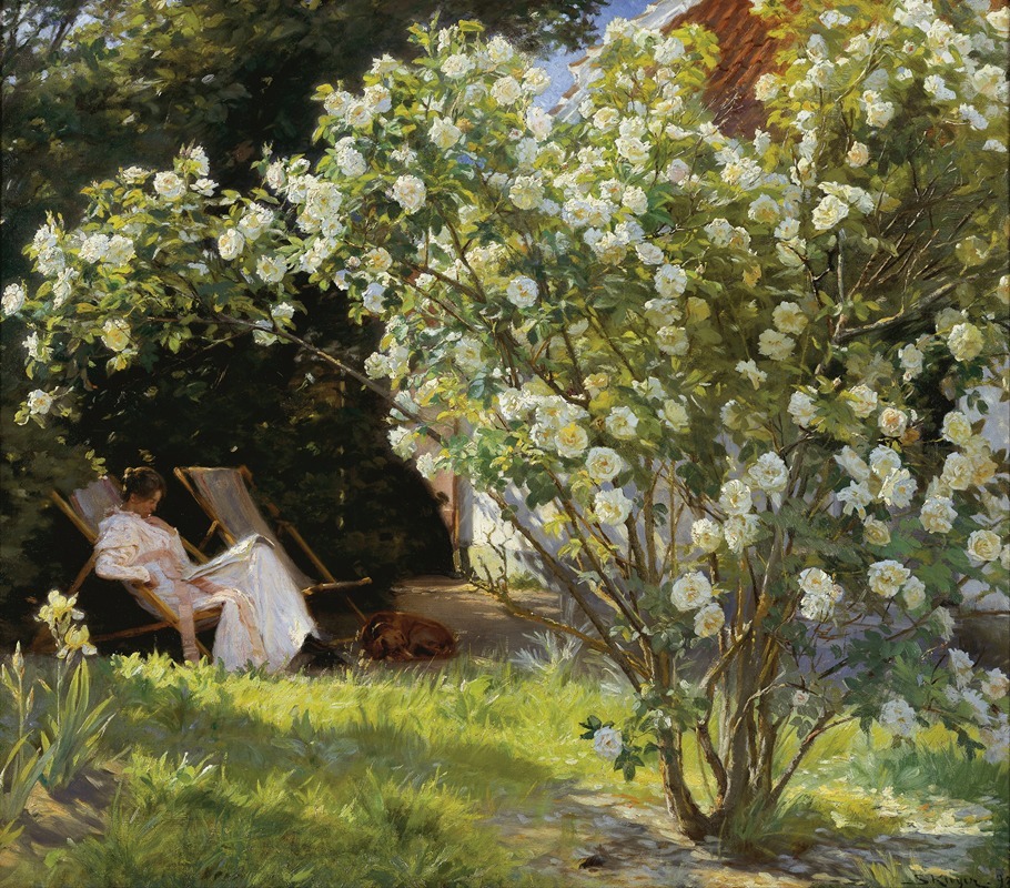 Peder Severin Krøyer - Roses. Marie Krøyer seated in the deckchair in the garden by Mrs Bendsen’s house