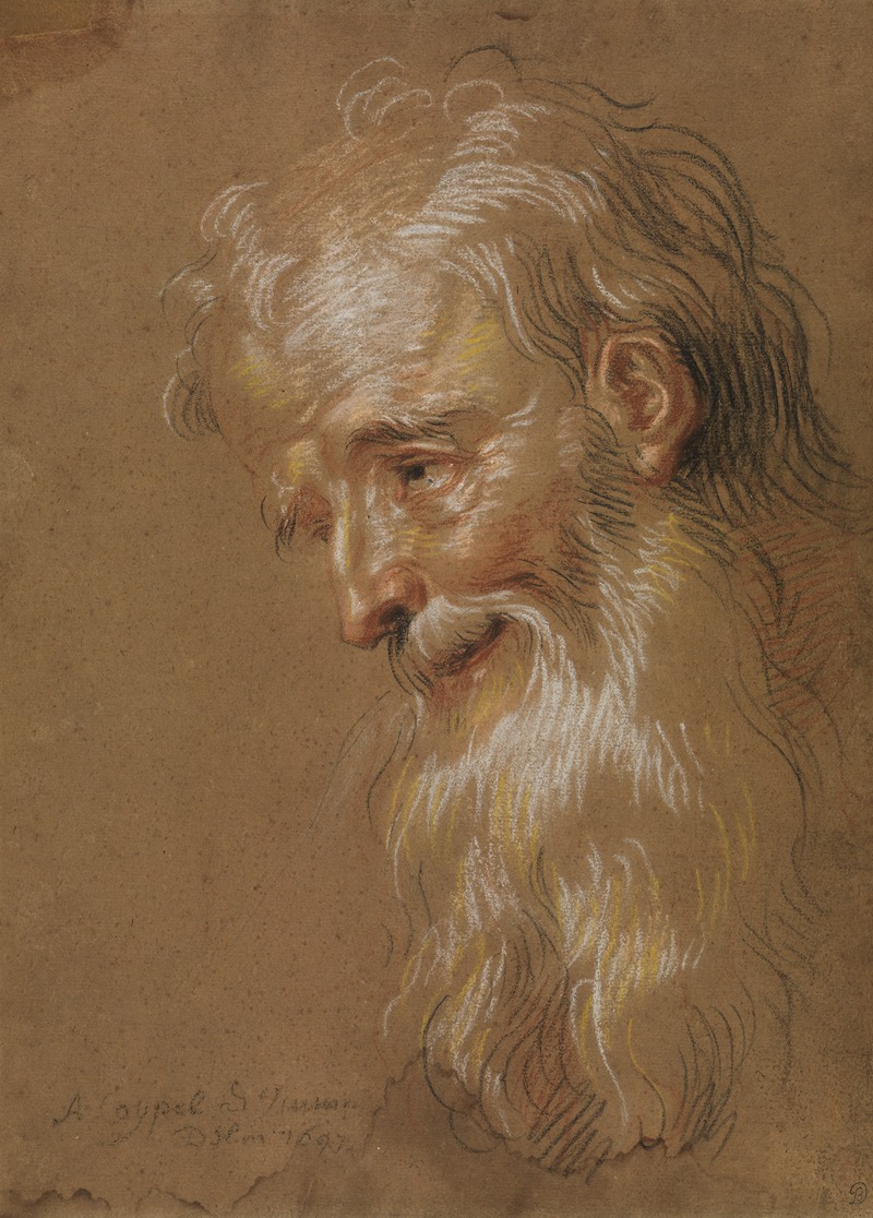 Antoine Coypel - Head of a bearded old man