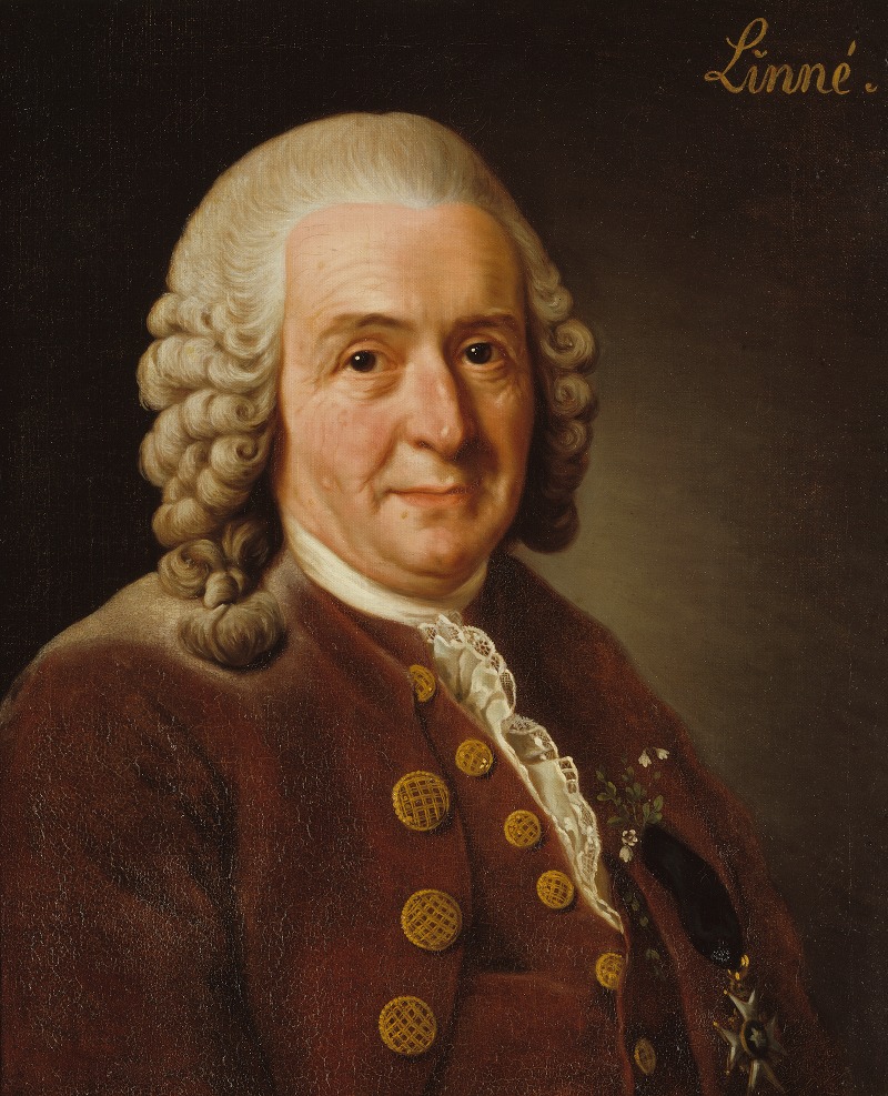 Alexander Roslin - Carl von Linné, 1707-1778, botanist, professor